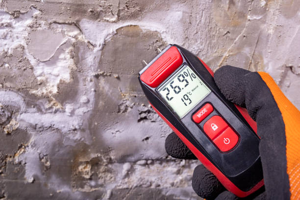 Best Affordable Mold Removal  in Pulaski, VA